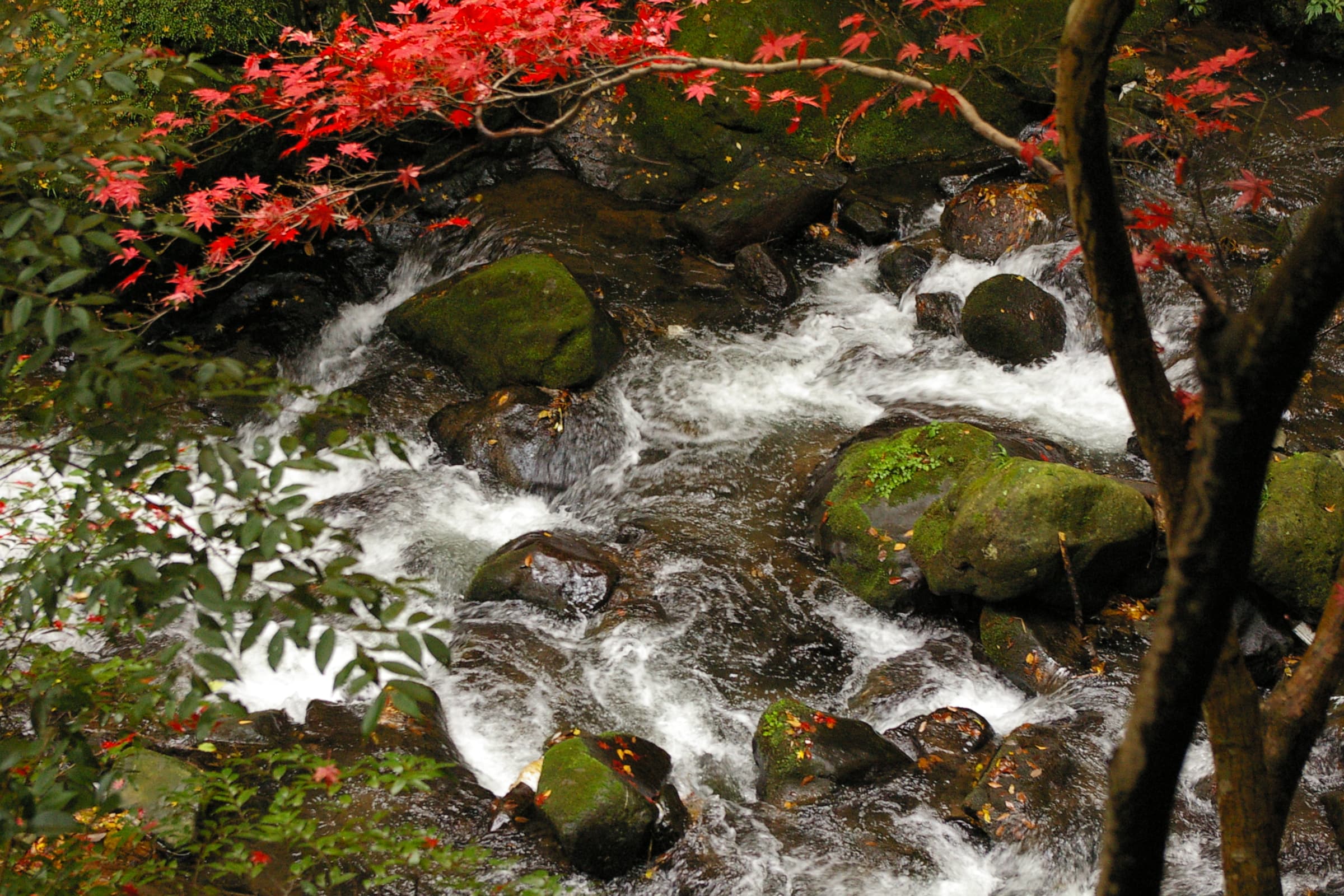 Man’yō Park