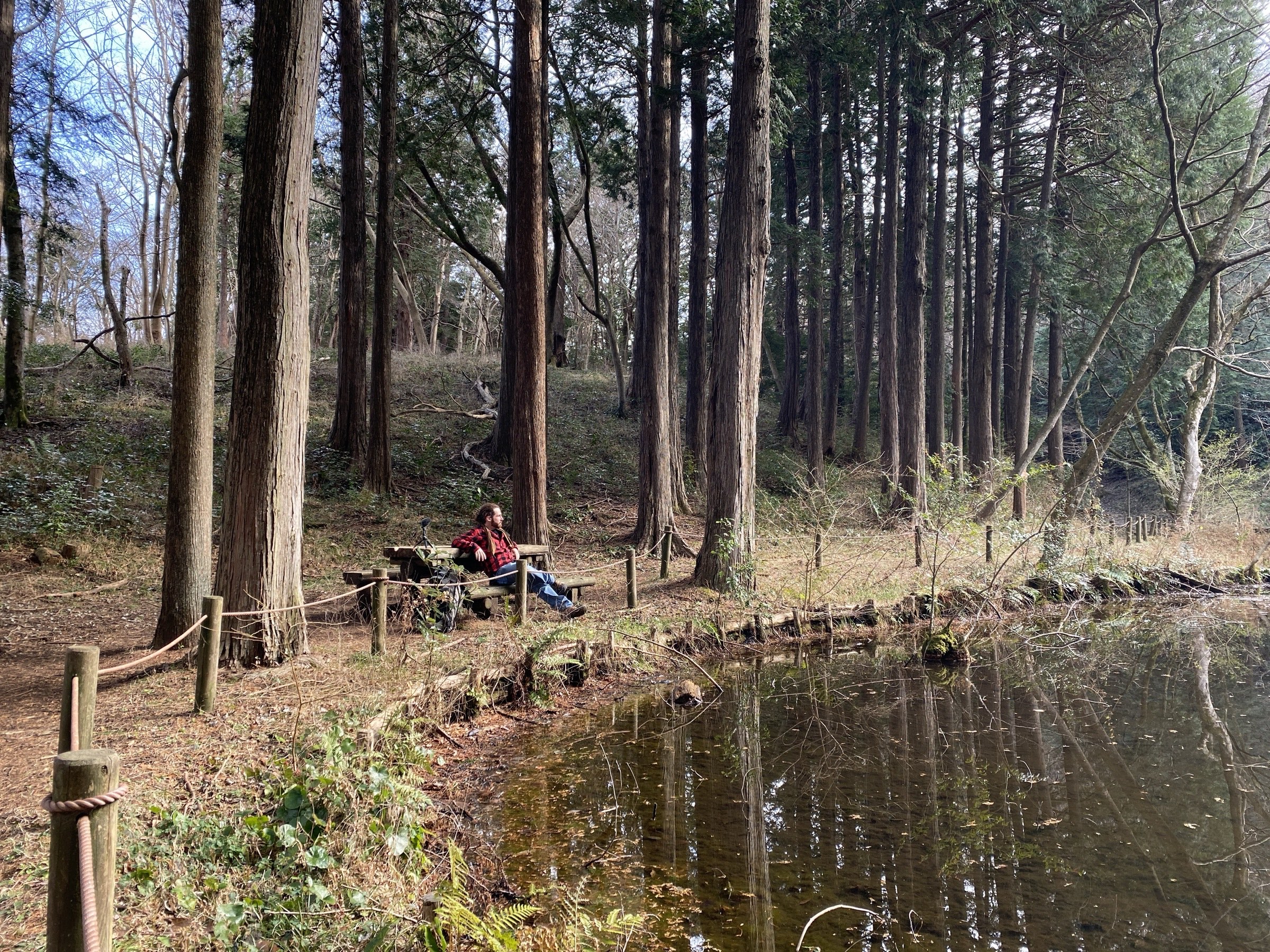 A quiet wooded walk in Yugawara