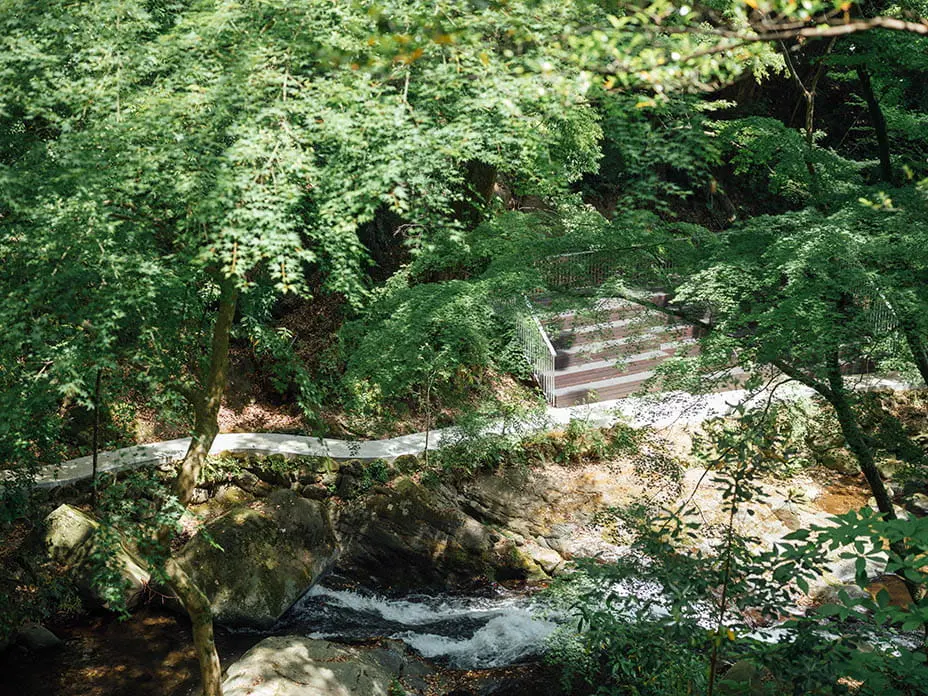 玄関テラス横の木々の下を流れる川と石段