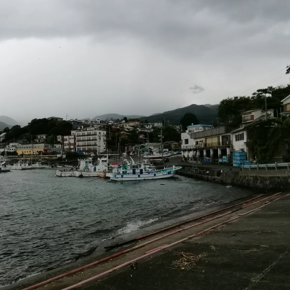 岸壁に並ぶ小さな漁船。屋根の下に魚箱が積まれ、背後に木々の茂る山