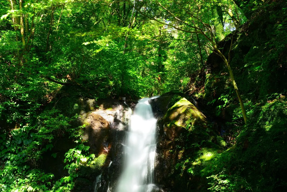 Fudo Falls