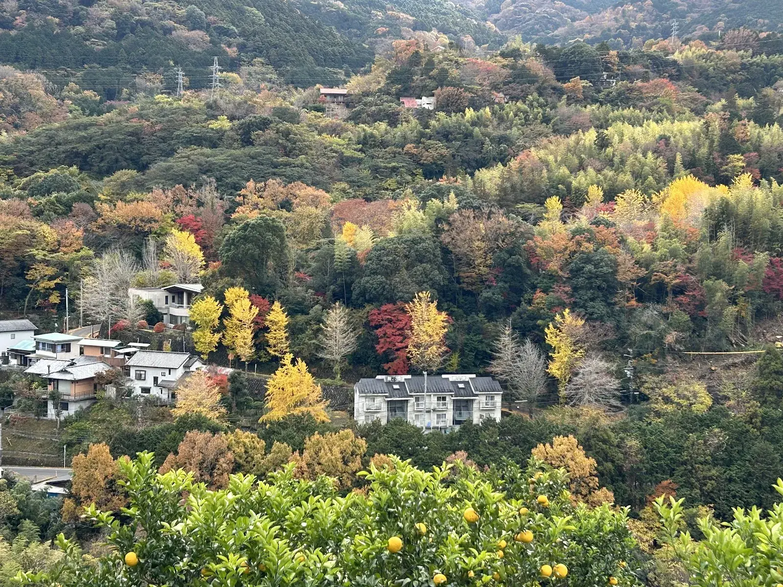 The hills around Ikemine in autumn