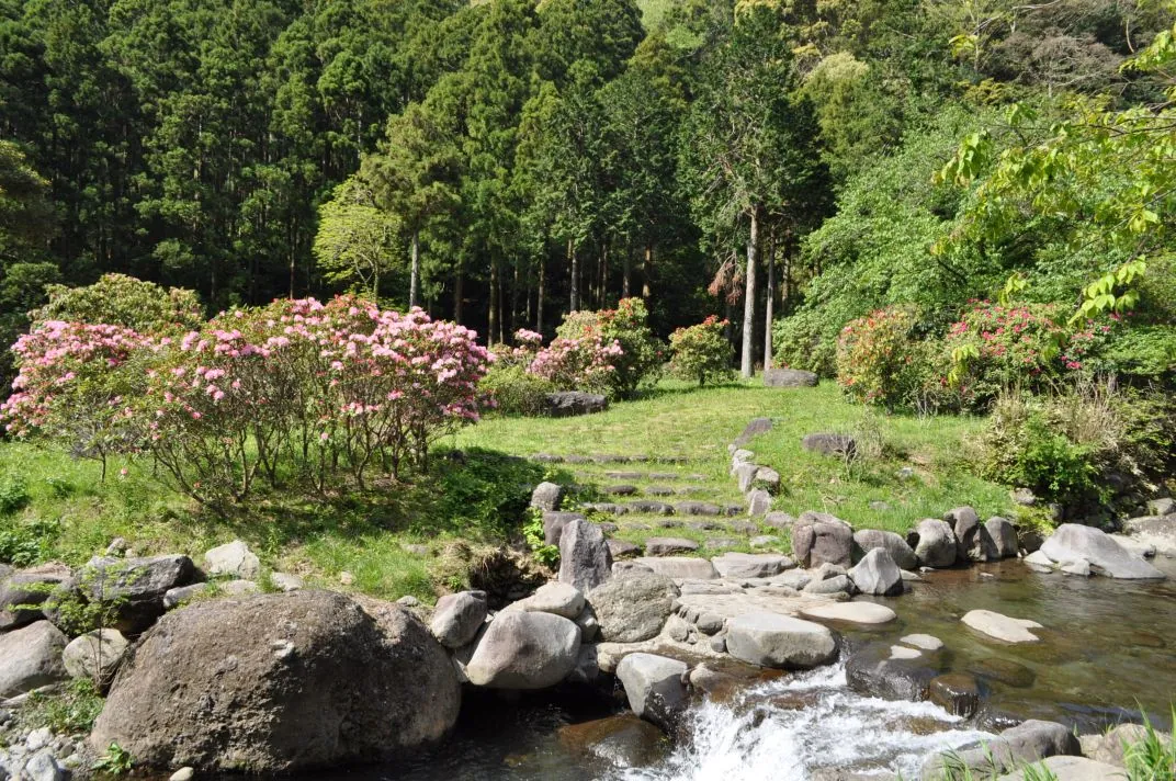 The Shinzaki River in the park