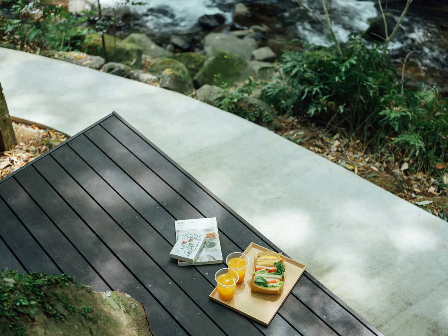 A wooden deck beside the stream