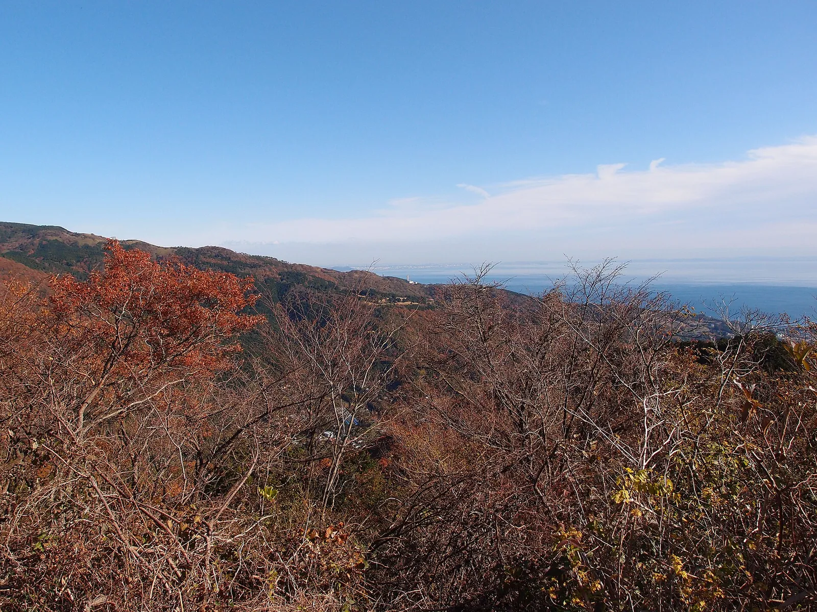 Autumn colour on the summit of Shiroyama, with the sea beyond